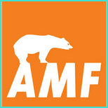 AMF metal ceiling system